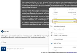 A screenshot showing the menu that appears when a Clarity user right clicks in a chat. Menu includes "Print" option.