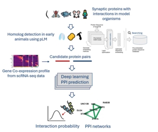 Musser Lab - Project 1